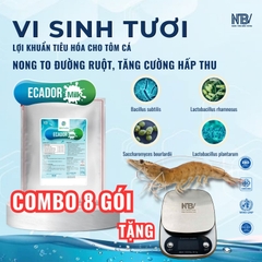 COMBO 8 GÓI ECADOR MILK TẶNG CÂN TIỂU LI