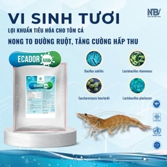 COMBO 10 TẶNG 1 ECADOR MILK MUA TRỰC TIẾP
