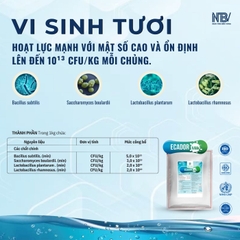 ECADOR MILK - Tăng hấp thu, nong to đường ruột, hỗ trợ chuyển hóa
