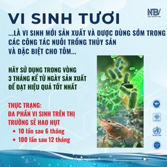 COMBO 8 GÓI ARICA TẶNG CÂN ĐIỆN TỬ