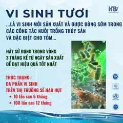 Combo 5 Ecador Milk tặng 1 nón NTBV