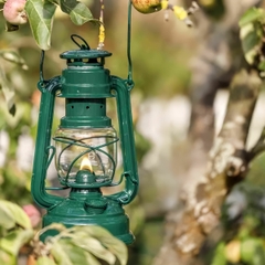 Feuerhands Đèn bão - Đèn Dầu Hurricane Lantern Baby Special 276 - Moss Green