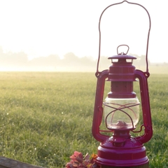 Feuerhands Đèn bão - Đèn Dầu Hurricane Lantern Baby Special 276 - Telemagenta