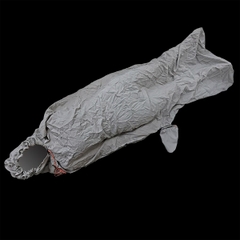 Madfox Túi Lót Ngủ Cắm Trại