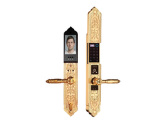 Khóa cửa đại sảnh biệt thự Demax EL9862 Gold