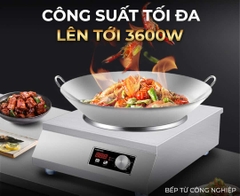 Bếp từ công nghiệp Kocher CI-3600C