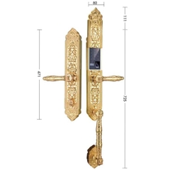 Khóa cửa đại sảnh biệt thự SL899 Gold - Khóa điện tử Demax