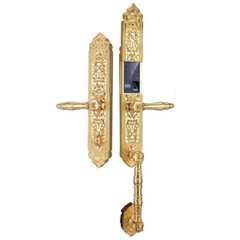 Khóa cửa đại sảnh biệt thự SL899 Gold - Khóa điện tử Demax