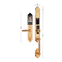 Khóa cửa đại sảnh biệt thự Demax EL938 Gold
