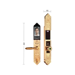 Khóa cửa đại sảnh biệt thự Demax EL9382 Gold