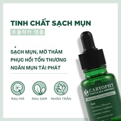 Serum Caryophy Portulaca Ampoule Giảm Mụn Mờ Thâm Se Khít Lỗ Chân Lông Hàn Quốc 30ml