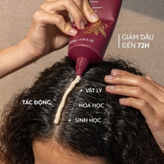 Tẩy Tế Bào Chết Da Đầu Cocoon Bồ Kết Sạch Sâu Giảm Gàu Bã Nhờn  Gleditsia Scalp Scrub Tuýp 200ml