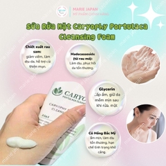 Sữa Rửa Mặt Caryophy Portulaca Cleansing Foam Sạch Sâu Ngăn Ngừa Mụn Kiềm Dầu Hàn Quốc Tuýp 150ml