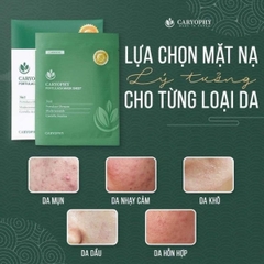 Mặt Nạ Tràm Trà Caryophy Portulaca Mask Sheet Cấp Ẩm Phục Hồi Giảm Mụn Hàn Quốc 22g
