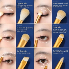 Set 12 Cọ Trang Điểm AMORTALS Makeup Cá Nhân Chuyên Nghiệp Lông Mềm Mịn Kèm Túi Đựng Tiện Lợi
