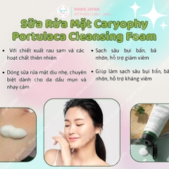 Sữa Rửa Mặt Caryophy Portulaca Cleansing Foam Sạch Sâu Ngăn Ngừa Mụn Kiềm Dầu Hàn Quốc Tuýp 150ml