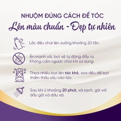 Bọt Nhuộm Tóc Salon De Pro Phủ Bạc Tự Nhiên Cao Cấp Không Mùi Tiện Lợi  Nhật Bản