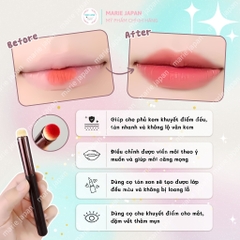 Cọ Tán Son Môi Makeup Nội Địa Trung