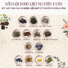 Dầu Gội Dược Liệu Nguyên Xuân Giúp Dưỡng Tóc Bồng Bềnh Phục Hồi Hư Tổn 450ml