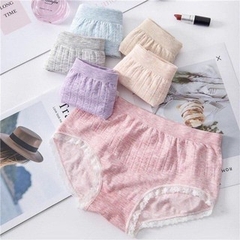 Set 5 Quần Chip Cotton Co Dãn 4 Chiều Nhiều Màu Freesize