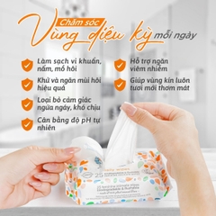 Khăn Ướt Vệ Sinh Vùng Kín Femfresh Intimate Skincare Daily Wipes Cao Cấp Hằng Ngày