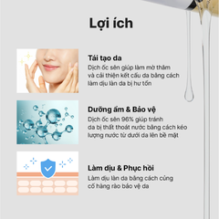 Tinh Chất Ốc Sên Cosrx Advanced Snail 96 Mucin Essence Cấp Ẩm Làm Dịu Phục Hồi Chống Lão Hóa Hàn Quốc 100ml