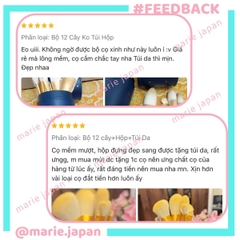 Set 12 Cọ Trang Điểm AMORTALS Makeup Cá Nhân Chuyên Nghiệp Lông Mềm Mịn Kèm Túi Đựng Tiện Lợi