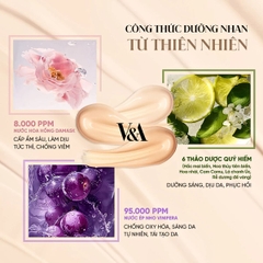 Cushion V&A Beauty Long Wear Foundation Che Khuyết Điểm Mịn Lì  Lâu Trôi Hàn Quốc Hộp 15g + Lõi Refill