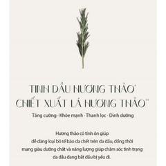 Xịt Dưỡng Tóc Hương Thảo Aromatica Rosemary Root Enhancer Giảm Rụng Nuôi Dưỡng Tóc Hàn Quốc 100ml