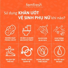 Khăn Ướt Vệ Sinh Vùng Kín Femfresh Intimate Skincare Daily Wipes Cao Cấp Hằng Ngày