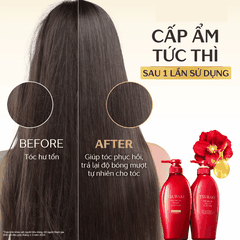 Dầu Gội Xả Tsubaki Premium Phục Hồi Giảm Gãy Rụng Cho Tóc Hư Tổn Nhật Bản