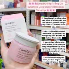 Kem Dưỡng Innisfree Jeju Cherry Blossom Tone Up Cream Hàn 50ml