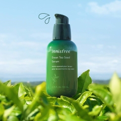 Serum Innisfree Green Tea Seed Chai 80ml