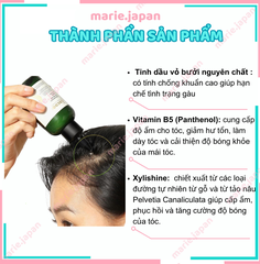 Nước Dưỡng Tóc Giảm Gãy Rụng Tinh Dầu Bưởi Cocoon
