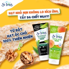 SRM ST.IVES Soft Skin Scrub - BƠ MẬT ONG MỀM MƯỚT Tuýp 170g