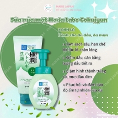 Sữa rửa mặt Hada Labo Gokujyun Nhật Bản