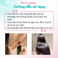 Combo Cocoon 2 Món Dầu Gội Bưởi Giảm Gãy Rụng 500ml + Dầu Xả Bưởi Mềm Mượt 310ml