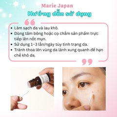 Dung Dịch Chấm Mụn Bí Đao Cocoon Giảm Sưng Viêm Sạch Mụn Chai 5ml