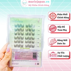 Lông Mi Cụm JARY Pro Cluster Lashes Có Sẵn Keo Tiện Lợi Mỏng Nhẹ Hộp Nhựa 6 Hàng