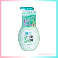 Sữa rửa mặt Hada Labo Gokujyun Nhật Bản
