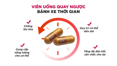 Viên Uống DHC Chống Lão Hóa Coenzyme Q10 Nhật Gói 30 Ngày