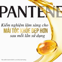 Dầu Gội Xả Pantene Pro-V 2In1 Bản Mỹ Phục Hồi Tóc Óng Mượt Tơi Phồng