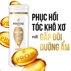 Dầu Gội Xả Pantene Pro-V 2In1 Bản Mỹ Phục Hồi Tóc Óng Mượt Tơi Phồng