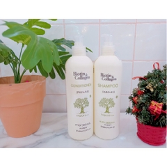 Set Dầu Gội Xả Biotin Collagen Giảm Rụng Phục Hồi Tóc Hư Tổn