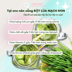 Bột Lúa Mạch Non Grass Barley Cung Cấp Vitamin Khoáng Chất Nhật