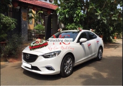 MẪU 5 XE MAZDA 6