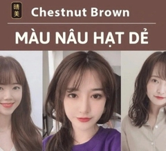 Dầu Gội Nhuộm Tóc Hữu Cơ Komi Dark Chestnut Brown Nâu Hạt Dẻ 500ml +