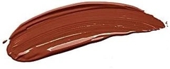 Son môi Cezanne Lasting Lip Color (Màu Cam Nâu)_N 504