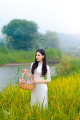Gạo ST25 xá (bao hồng)