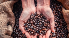 Cà Phê Hạt Rang VietnamCoffee Truyền Thống - túi 1kg  sản phẩm Cà Phê an toàn chất lượng cao
